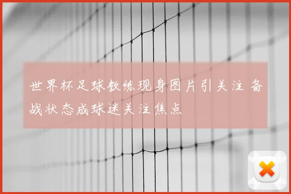 世界杯足球教练现身图片引关注 备战状态成球迷关注焦点